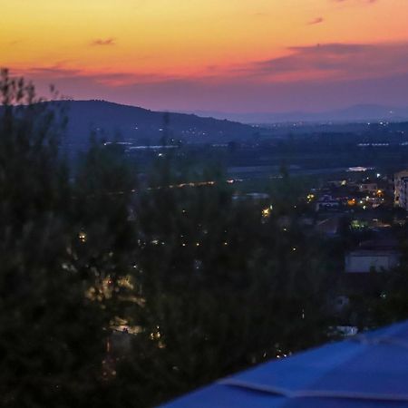 Гостьовий будинок Bujtina Musta Берат Екстер'єр фото